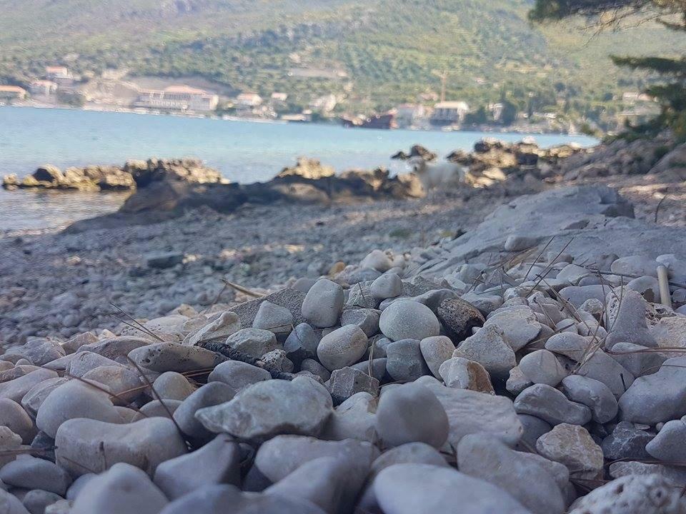 Hanas Dream Places Zaton  Kültér fotó