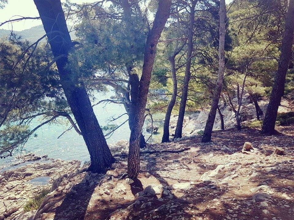 Hanas Dream Places Zaton  Kültér fotó