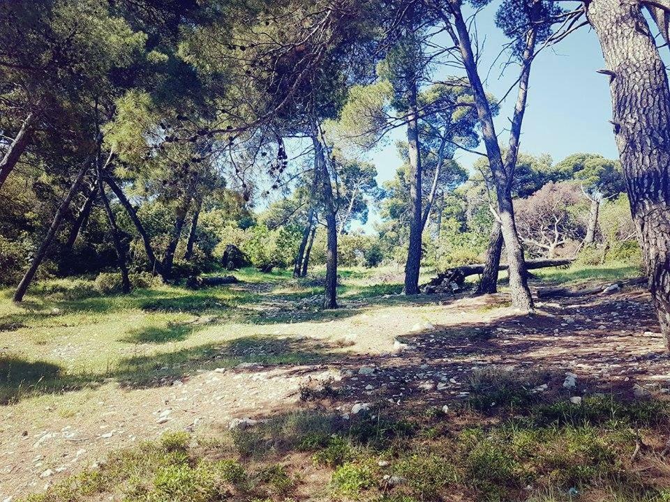 Hanas Dream Places Zaton  Kültér fotó